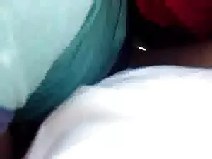 Due dozzine di tori  ...