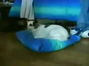 Marito, moglie xxx v ...